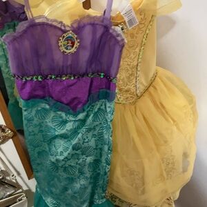 Disney Princess Dress - Purple and Teal